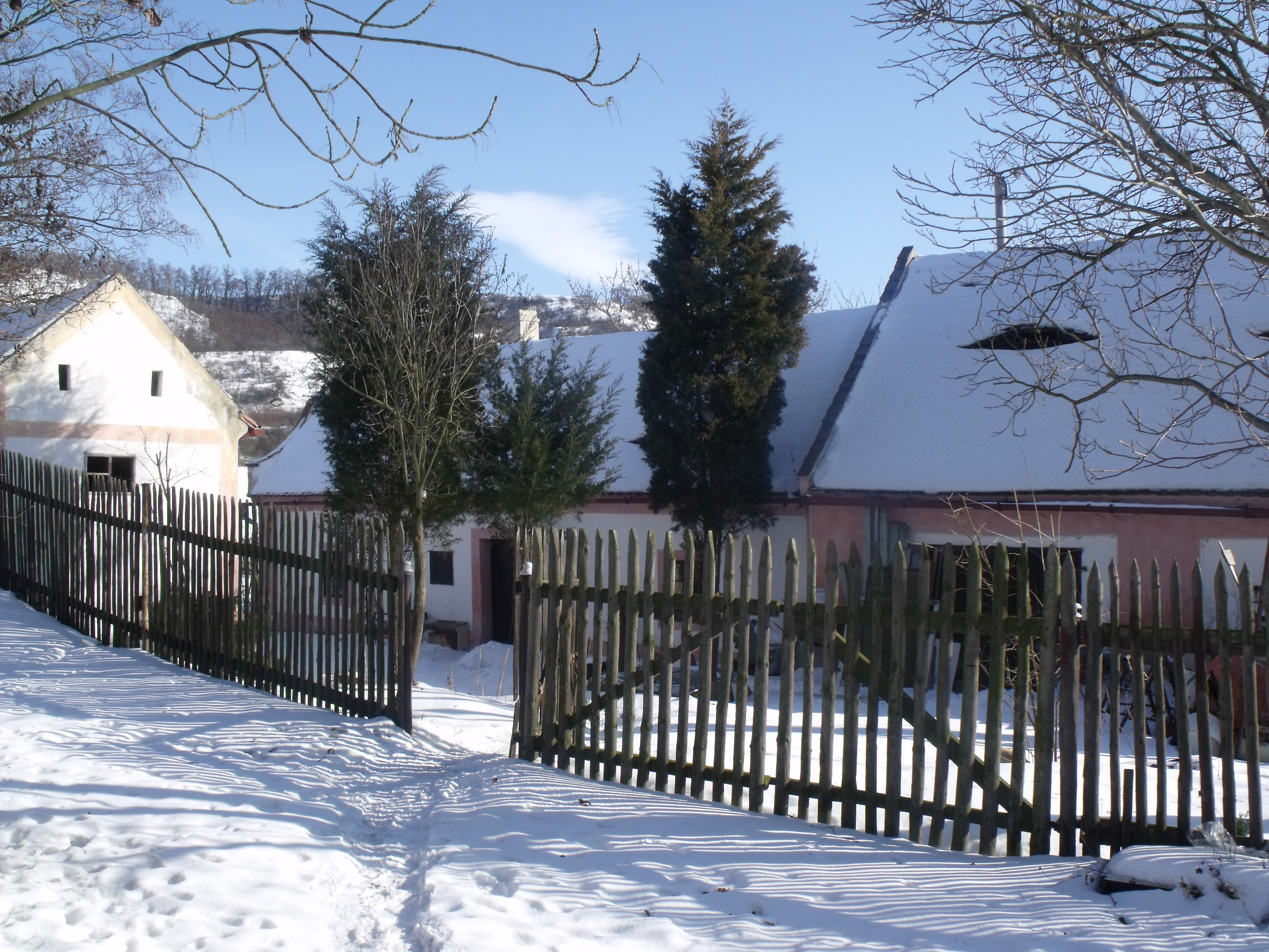 30.1 chaloupka