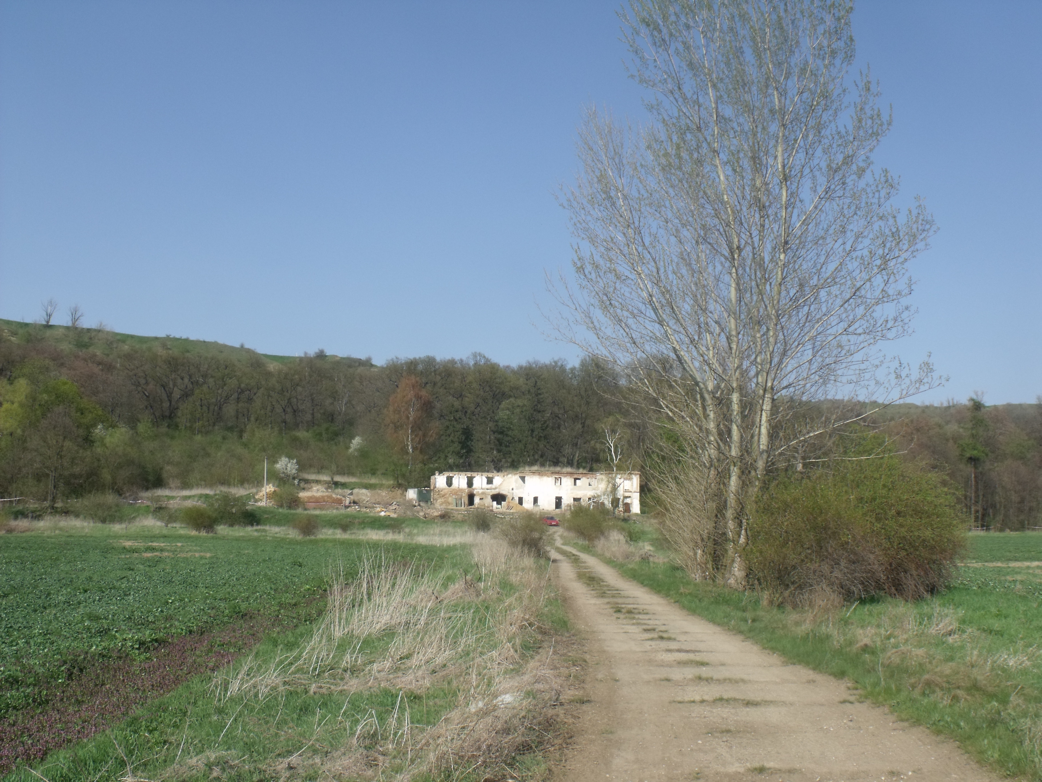 Stroupeček a park (14). 